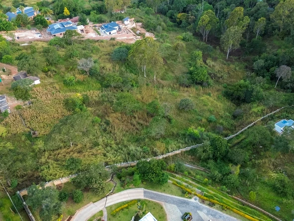 Stands & Residential Land