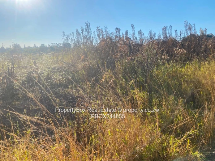 Vacant Stand for Sale in Hatfield Estate
