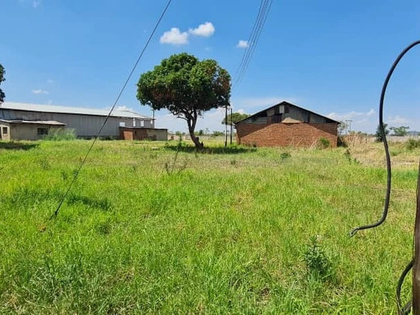 Farm & Agricultural Land