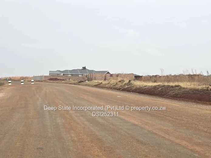 Nyeredzi stand for sale 