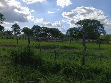 Farm & Agricultural Land