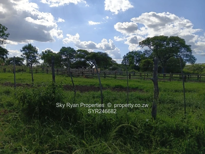 Beatrice Farm For Sale 