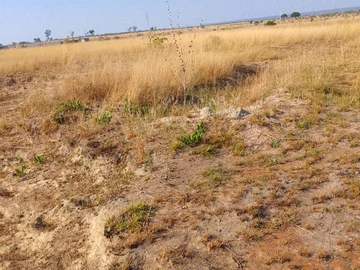 Commercial & Industrial Land