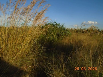 Commercial & Industrial Land