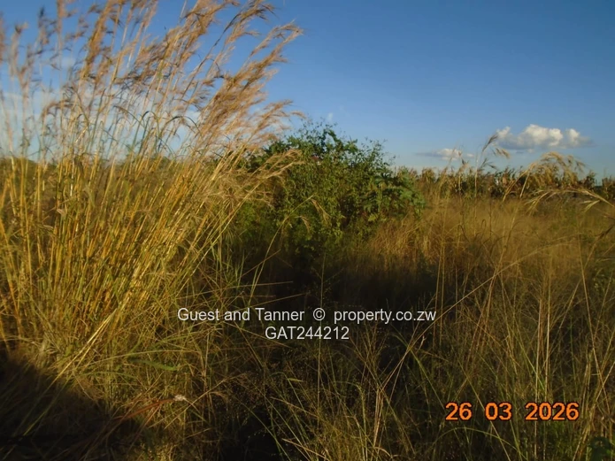 Commercial Lot in DAMOFALLS INDUSTRIAL PARK