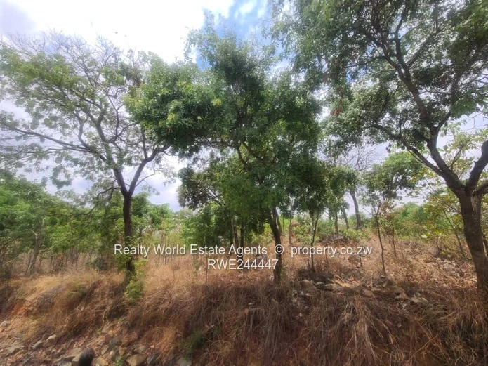 Land for Sale – Glenlorne, Harare (Sole Mandate)