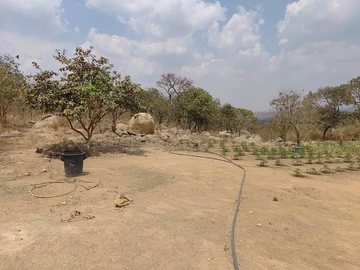 Stands & Residential Land