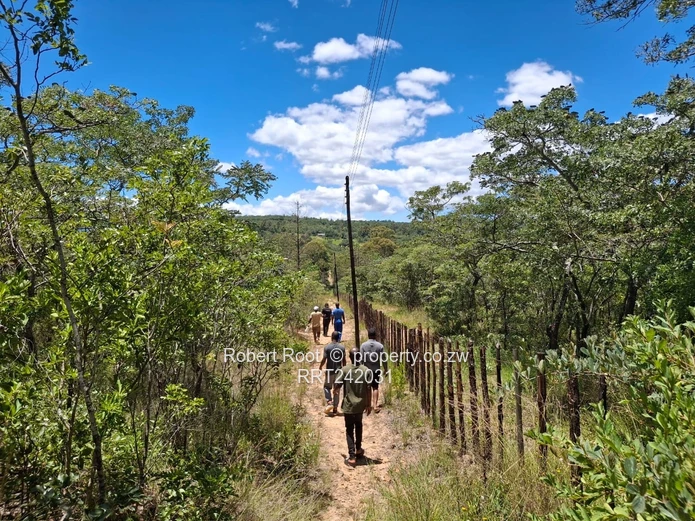 Nyanga Stands For Holiday Homes, Airbnb's & Lodges