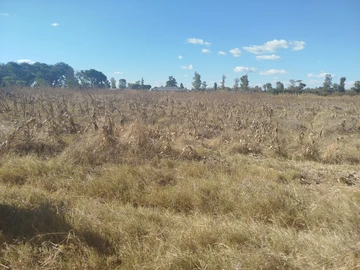Ruwa plots for sale 