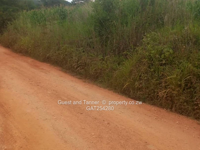 Charlotte Brooke | Residential Stand For Sale – Us$20,000
