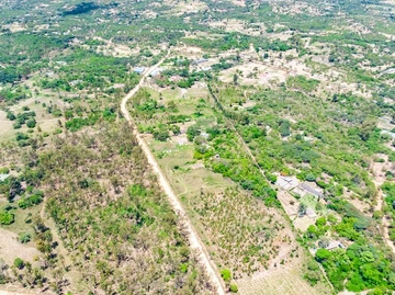 Farm & Agricultural Land