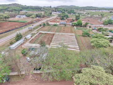 Stands & Residential Land