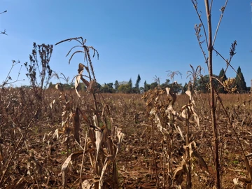 Farm & Agricultural Land