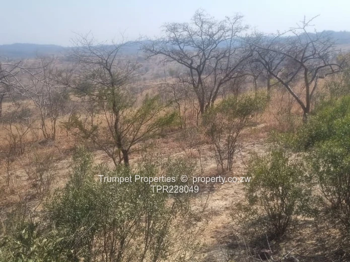 **Discover Your Agricultural Oasis: 10 Hectares in Mhondoro Ngezi** (Sole Mandate)