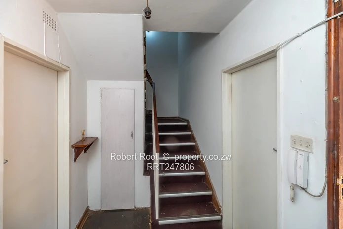 3 bed flat in Avenues