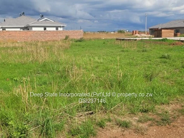 Westgate shine plus stand for sales