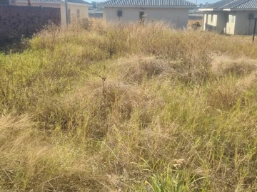 Stands & Residential Land