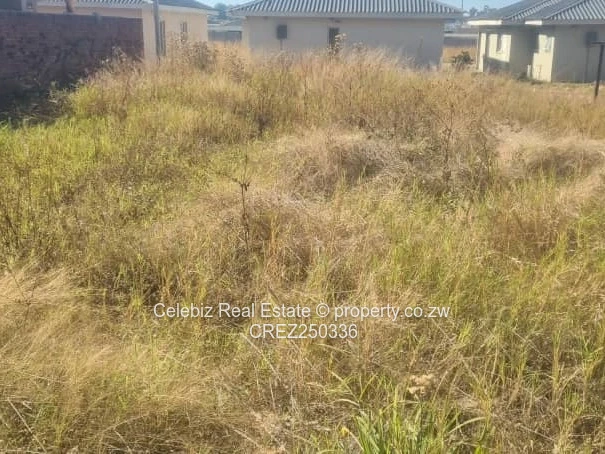 Fairview Ruwa stand for sale