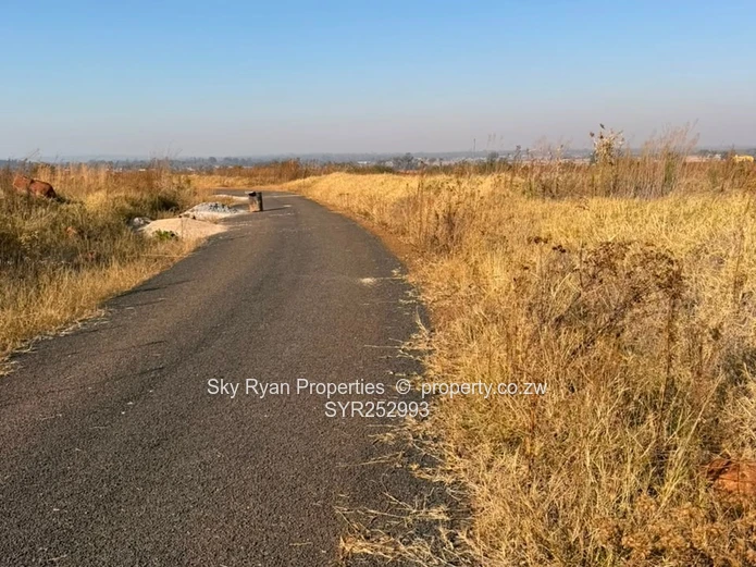 Nyeredzi Ridge Pomona Stand For Sale