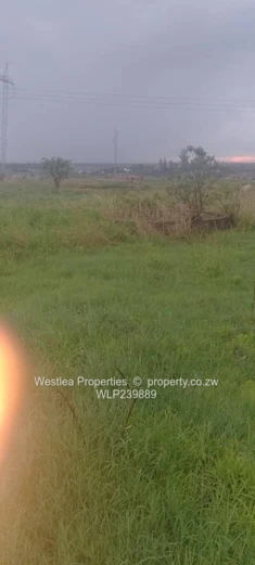 An opportunity not to miss