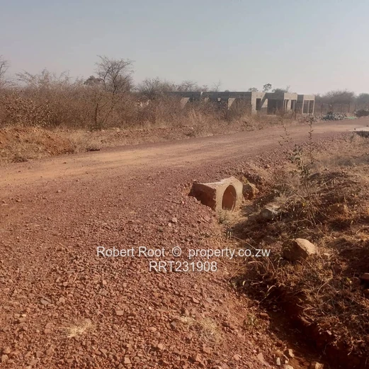 Gweru Stand for sale