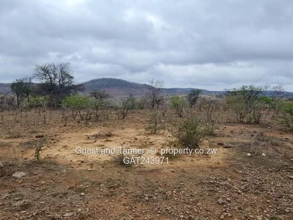 Claremont - Douglasdale 18ha Undeveloped Land for Sale