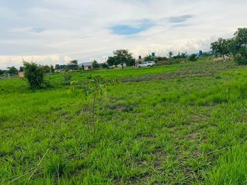 Farm & Agricultural Land