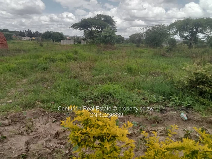 Rydale ridge stand for sale