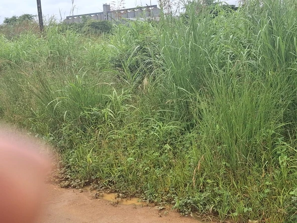 Commercial & Industrial Land