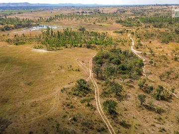 Farm & Agricultural Land