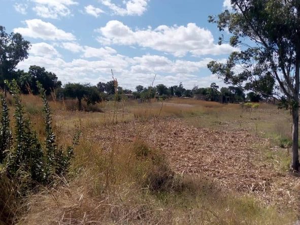 Farm & Agricultural Land