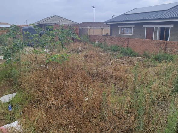 Stands & Residential Land