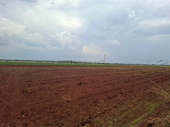 Farm & Agricultural Land