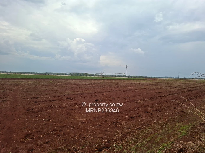 Beatrice Farm for sale (Sole Mandate)