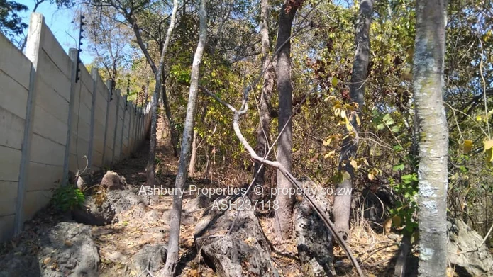 5,000 m² Glen Lorne — Sloping, Tree-lined Building Plot