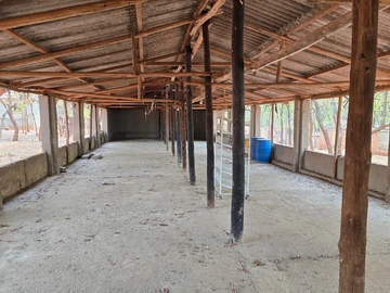 Farm & Agricultural Land