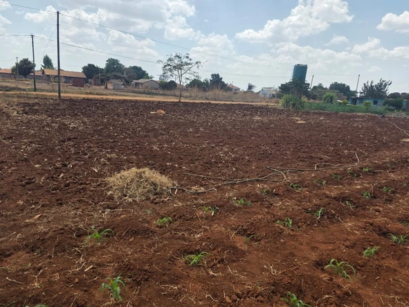 Stands & Residential Land