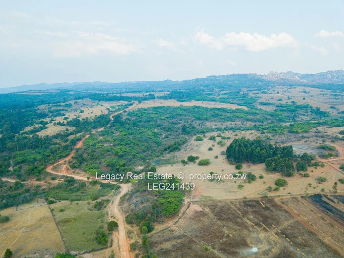 Exclusive 2000–4000m² Stands for Sale