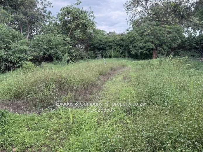 A house for sale in Mshumavale, Kadoma