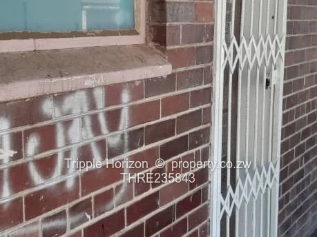 Avenues Bachelor Flat For Sale (Sole Mandate)