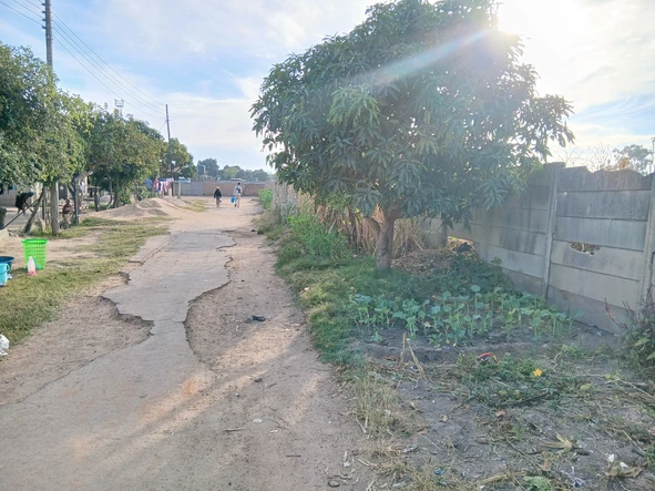 Stands & Residential Land