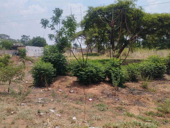 Commercial & Industrial Land