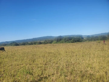 Farm & Agricultural Land