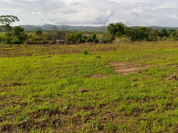 Farm & Agricultural Land