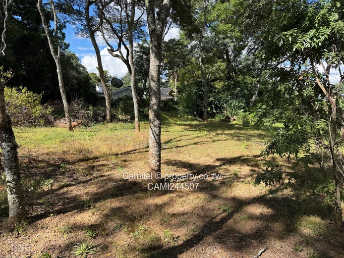 800m² Pomona city Stand — Tree-Lined, Secure & Tarmacked