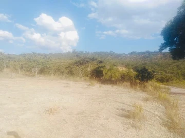 Farm & Agricultural Land