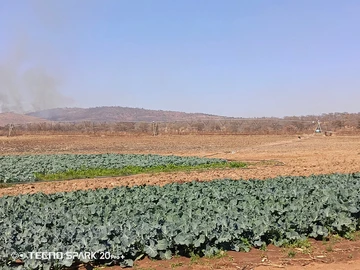 Farm & Agricultural Land
