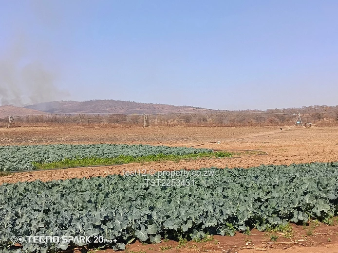 Mazowe Farm For Sale  (Sole Mandate)