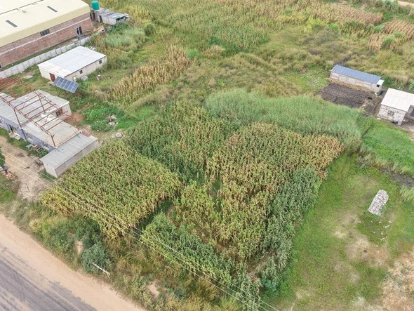 Commercial & Industrial Land