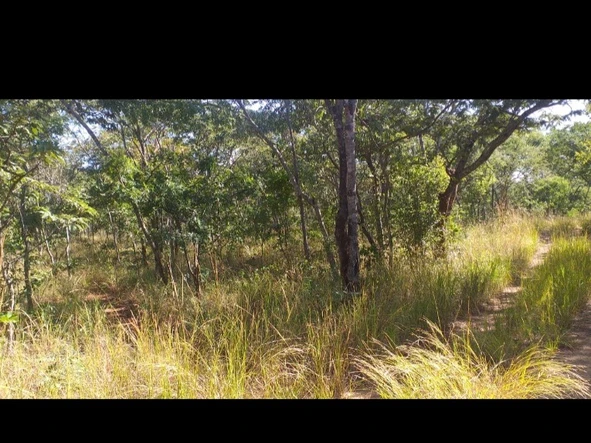 Commercial & Industrial Land